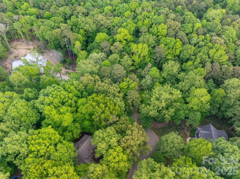 Natural landscape and outdoor views near  in Matthews (Image 36).