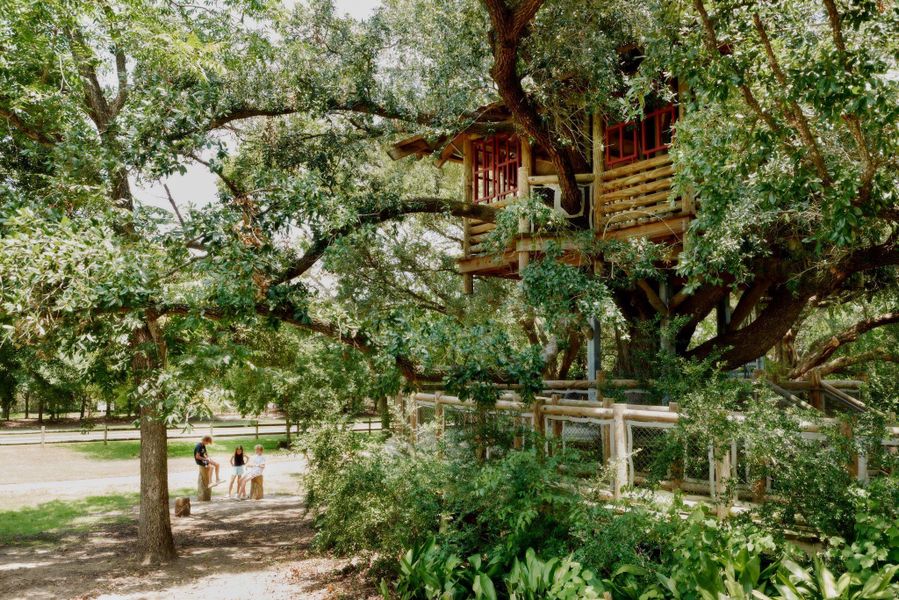 Image 5 of a home in Bridgeland.