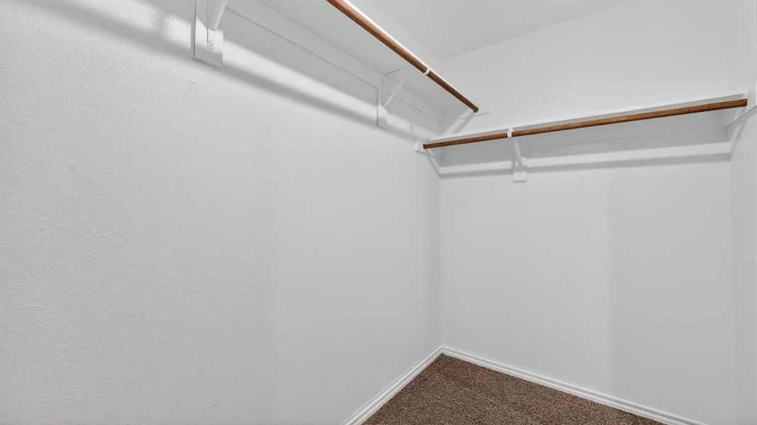 Walk-in closet featuring white painted walls, wood-finish hanging rods, white shelving, and carpet flooring Walk-in closet featuring white painted walls, wood-finish hanging rods, white shelving, and carpet flooring