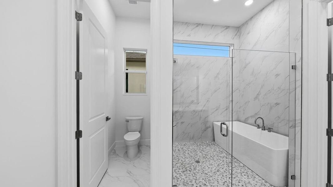 Owner's Bath
