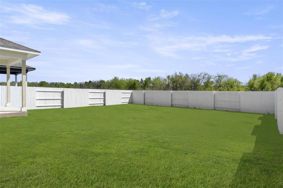 Backyard2