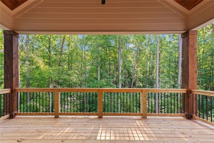 Exterior details and patio area of a home in , Ball Ground (Image 4).