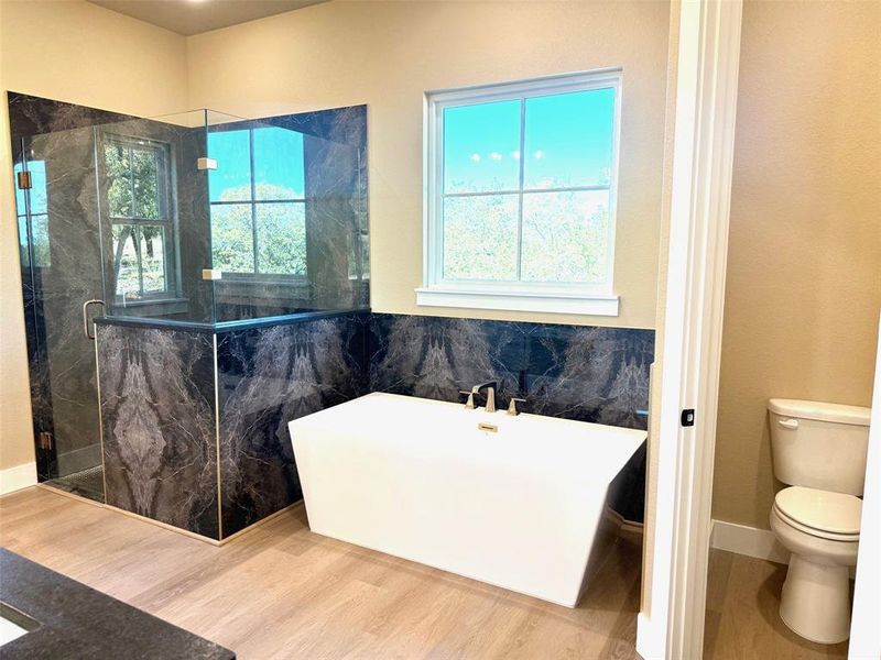 Furnished interior view inside a new home in , Chico (Image 4). Furnished interior view inside a new home in , Chico (Image 4).