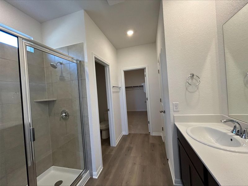 Full bath with a stall shower, dark wood-style floors, vanity, and a walk in closet Full bath with a stall shower, dark wood-style floors, vanity, and a walk in closet