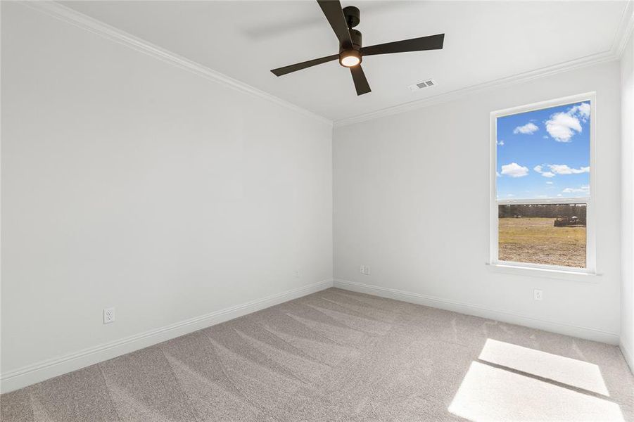 Spare room featuring light carpet, crown molding, and a ceiling fan