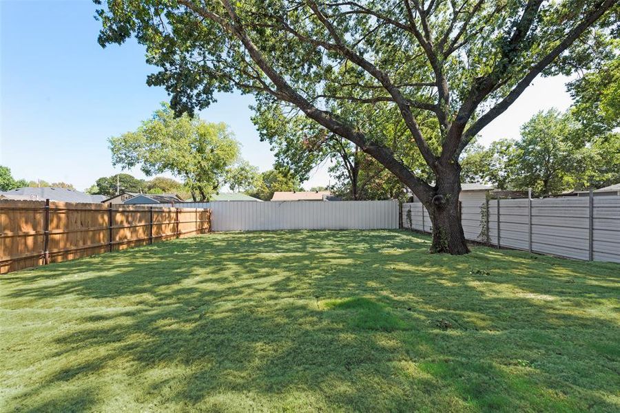 View of backyard