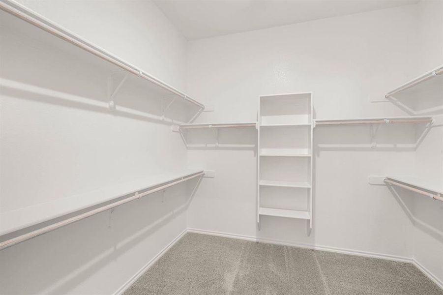 4537 Aralia- Primary SUite-6