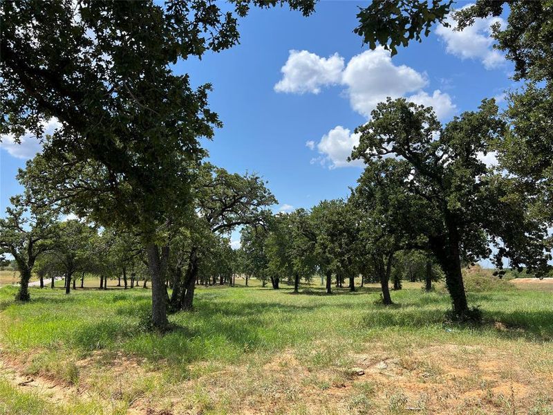 Natural landscape and outdoor views near Santana Ridge - Brock ISD in Weatherford (Image 3).