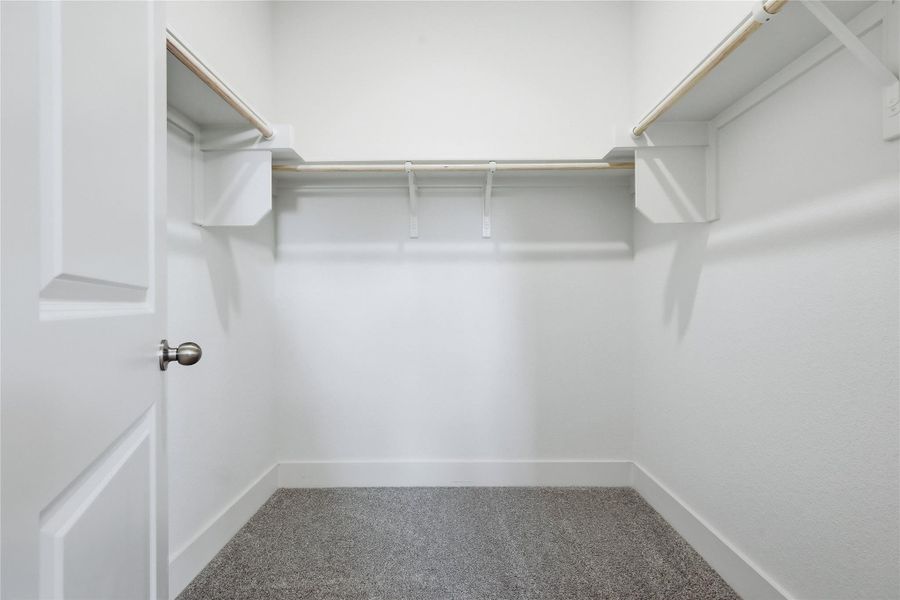 Spacious closet featuring carpet floors