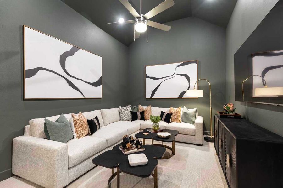 Entertainment Room