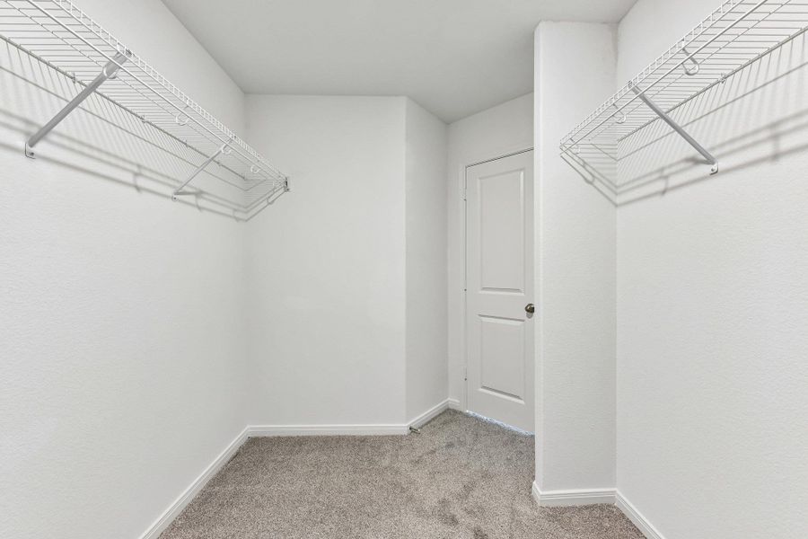 Walk-in closet featuring plush gray carpeting, white wire shelving, baseboard molding, and a paneled interior door