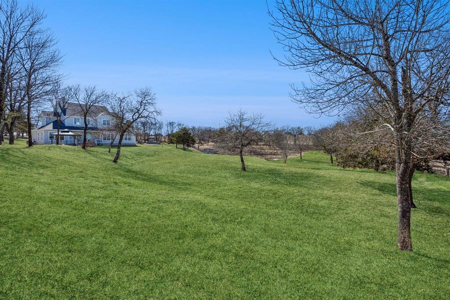 Natural landscape and outdoor views near  in Anna (Image 36).