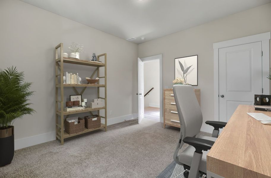 The Moultrie The Moultrie