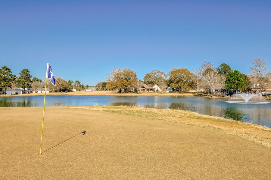 Natural landscape and outdoor views near  in Trinity (Image 22).