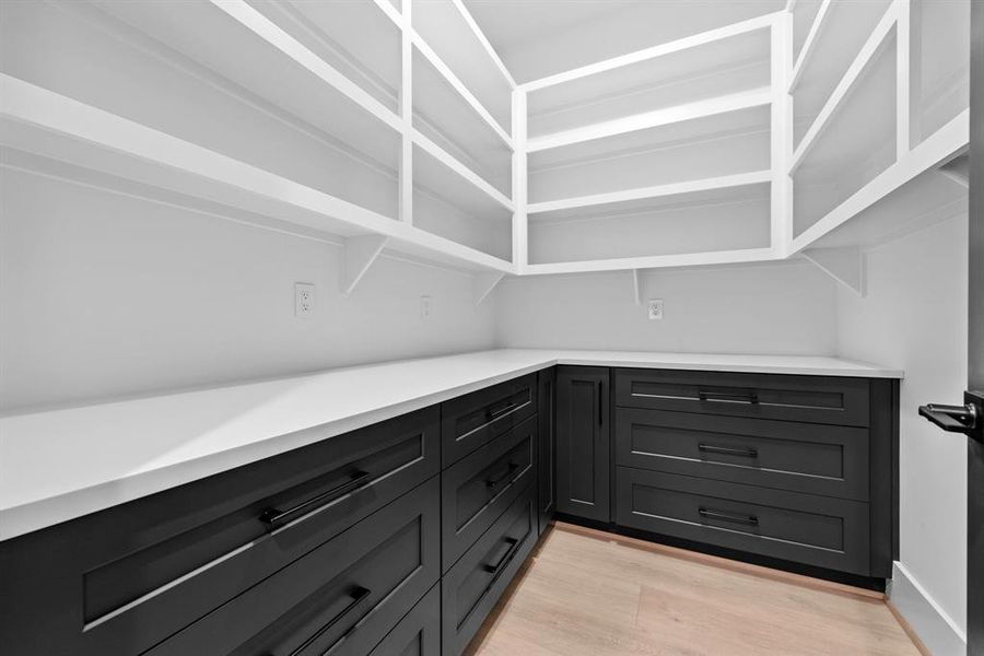 Large walk in pantry with pull out drawers, shelving space and electrical.