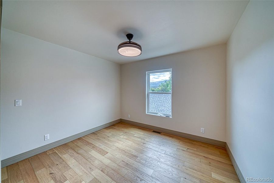 This light is also a ceiling fan with blades that come out.