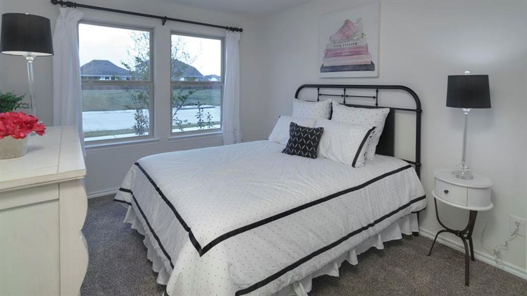Carpeted room with white walls and a pair of double-pane windows Carpeted room with white walls and a pair of double-pane windows