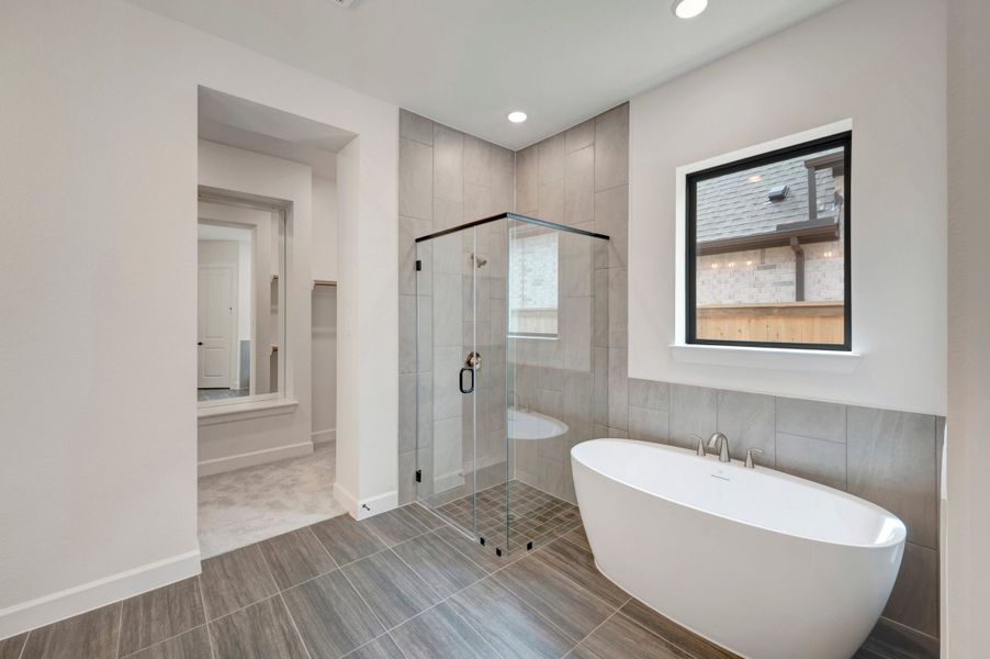 Owner's Bath