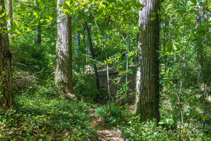 Serene Trails Perfect for Relaxing Serene Trails Perfect for Relaxing