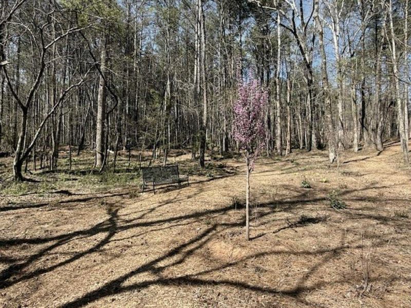 Natural landscape and outdoor views near Arbors at Richland Creek in Buford (Image 20).