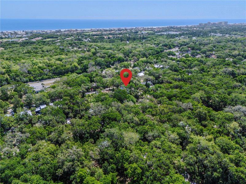 Natural landscape and outdoor views near  in Palm Coast (Image 65).