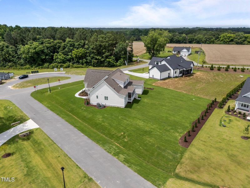 52-web-or-mls-DJI_20250610113834_0615_D