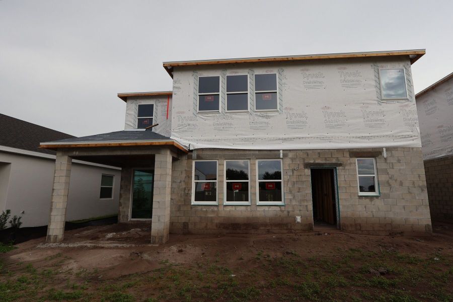 Back Exterior