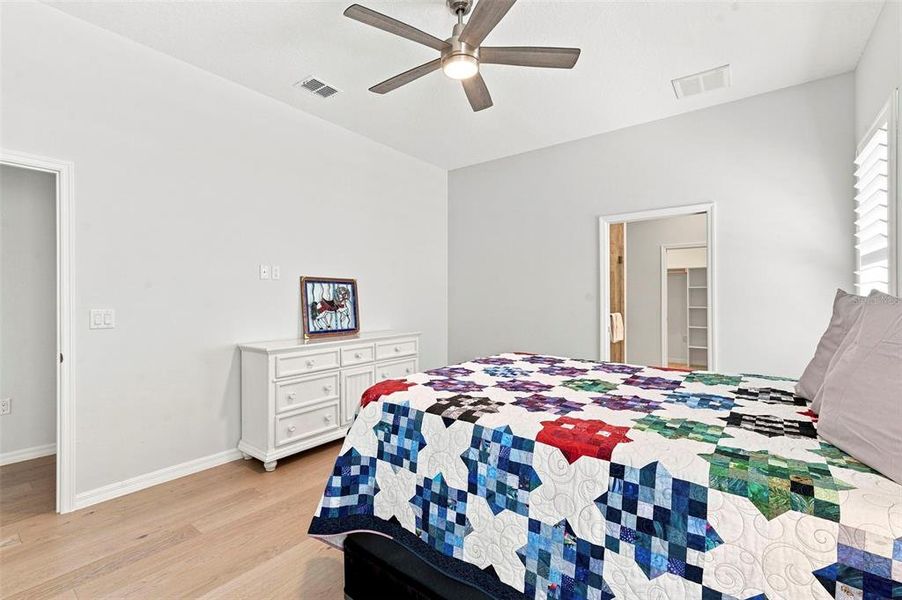 Furnished interior view inside a new home in , Dunedin (Image 34).
