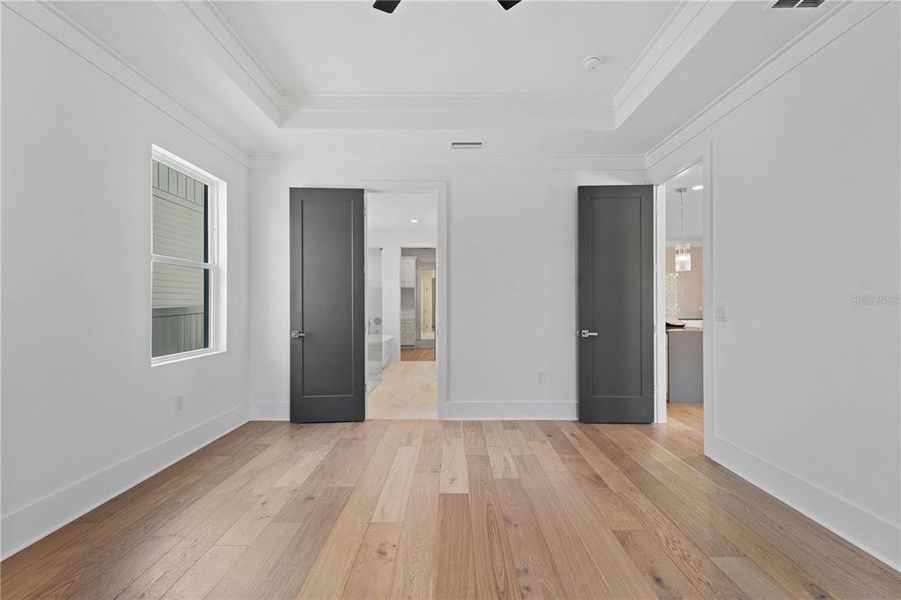 Primary Bedroom w/Tray Ceilings