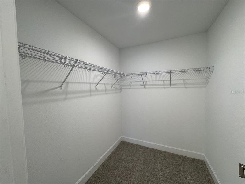 Primary Walk-In Closet Primary Walk-In Closet