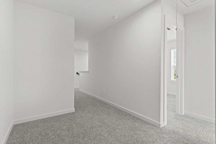 *Images and 3D tour are for illustration only and options may vary from home as built.