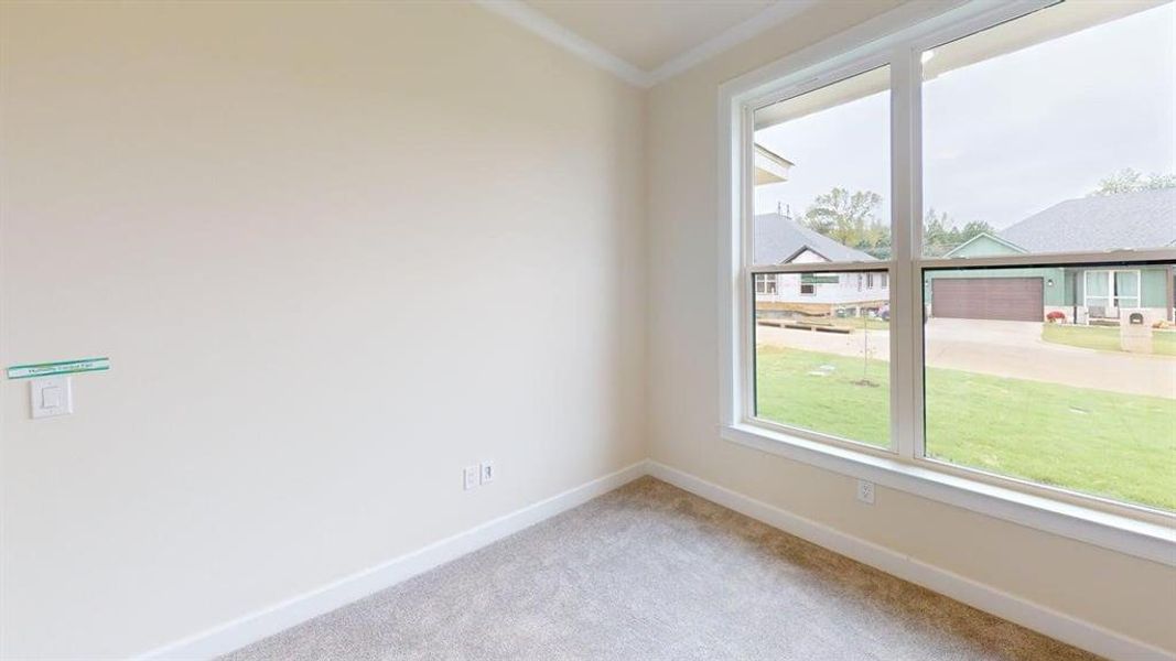 Carpeted spare room with baseboards and ornamental molding
