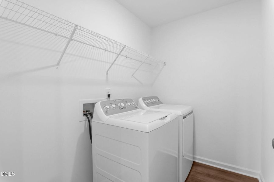 SUN_WesleyDowns_Pic_Davidson-32