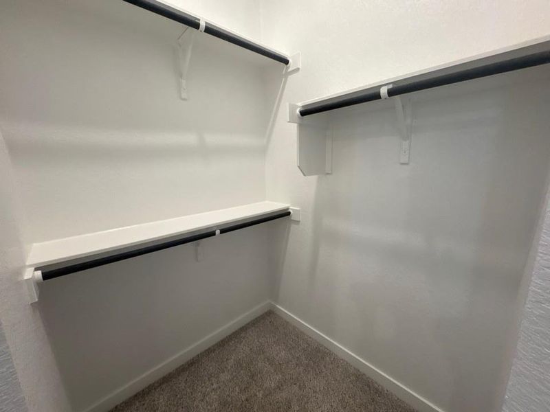 Walk in closet with dark carpet Walk in closet with dark carpet