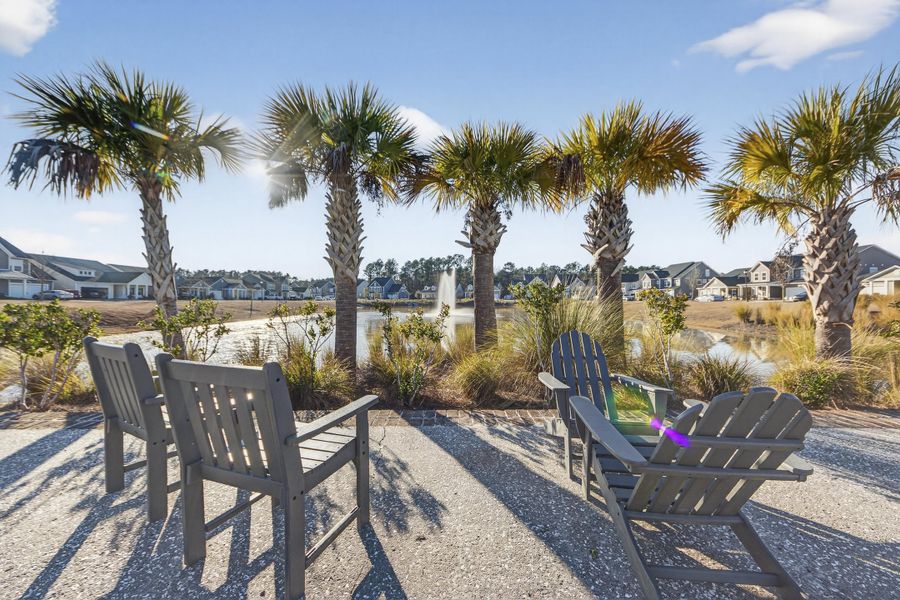 Community amenities in Azalea Ridge at Summers Corner: Arbor Collection, Summerville (Image 41).