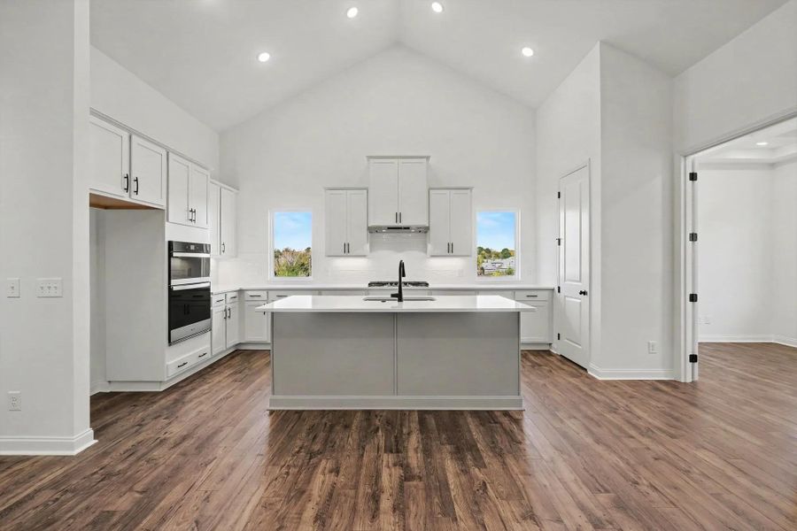 Shannon C Kitchen