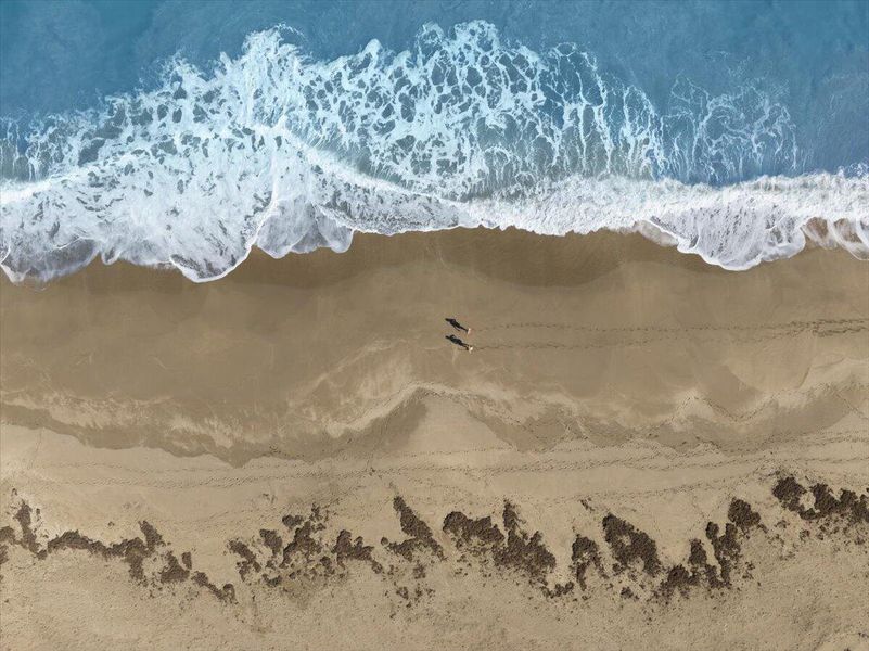 50-DJI_20260106125440_0355_D