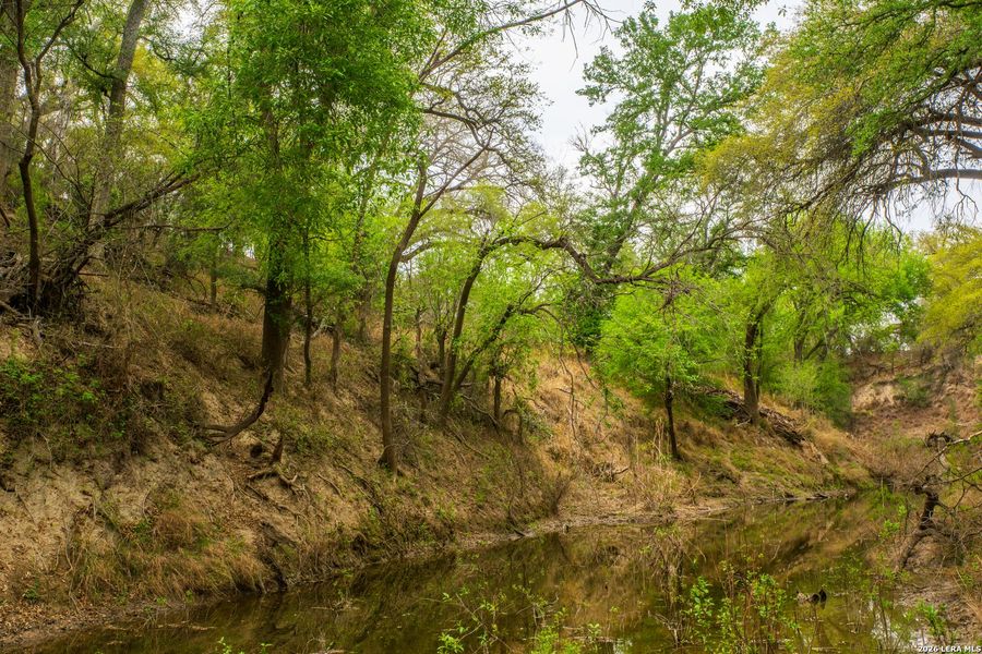 Natural landscape and outdoor views near in Crystal City (Image 21). Natural landscape and outdoor views near in Crystal City (Image 21).