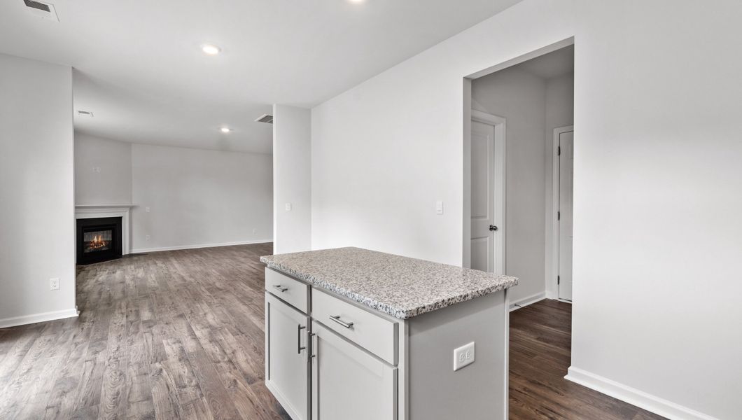 Image 29 representing the Biltmore by D.R. Horton in Woodglen, Piedmont, SC.