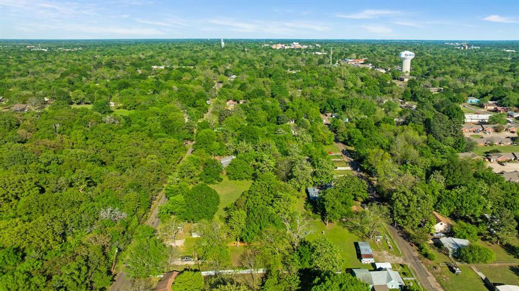 Natural landscape and outdoor views near  in Paris (Image 15).