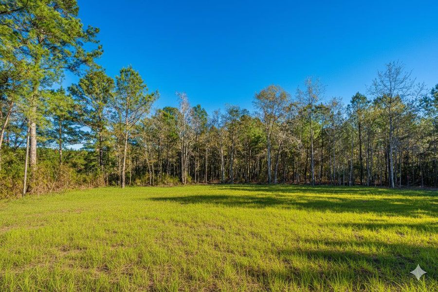Natural landscape and outdoor views near in St. Stephen (Image 53). Natural landscape and outdoor views near in St. Stephen (Image 53).