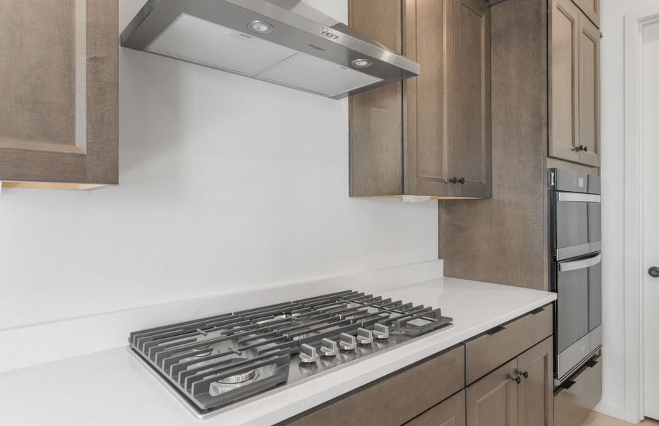 Close-up of interior finishes inside a home in Artisan at Asante, Surprise (Image 20).