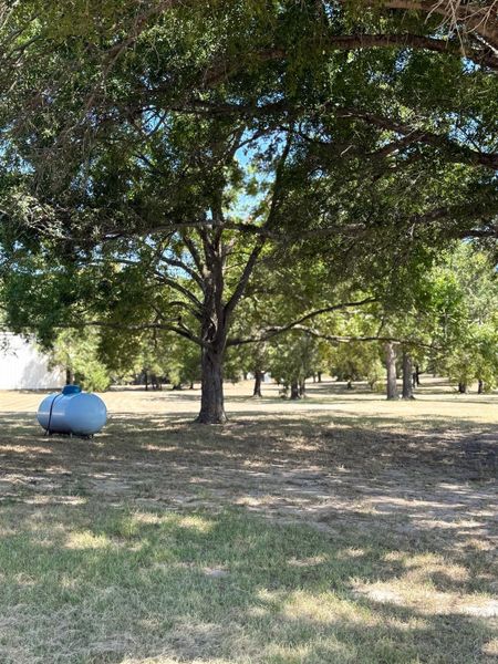 Natural landscape and outdoor views near  in Groesbeck (Image 20).