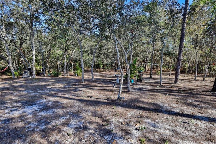 Natural landscape and outdoor views near Royal Highlands in Brooksville (Image 47).