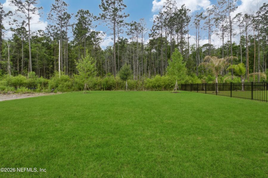 Natural landscape and outdoor views near  in Ponte Vedra (Image 33).