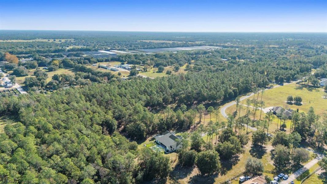 Natural landscape and outdoor views near in Eustis (Image 7). Natural landscape and outdoor views near in Eustis (Image 7).