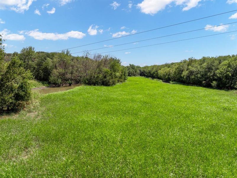 Grassy open area near creek Grassy open area near creek