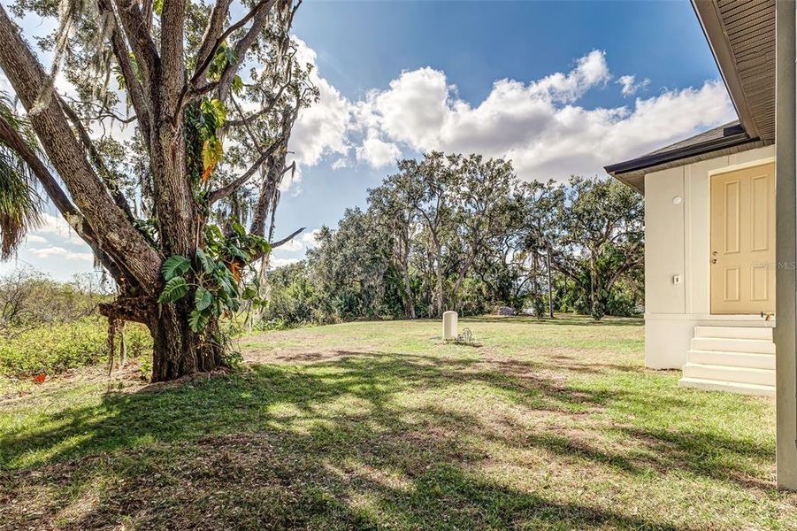 Exterior details and patio area of a home in , Tampa (Image 22). Exterior details and patio area of a home in , Tampa (Image 22).