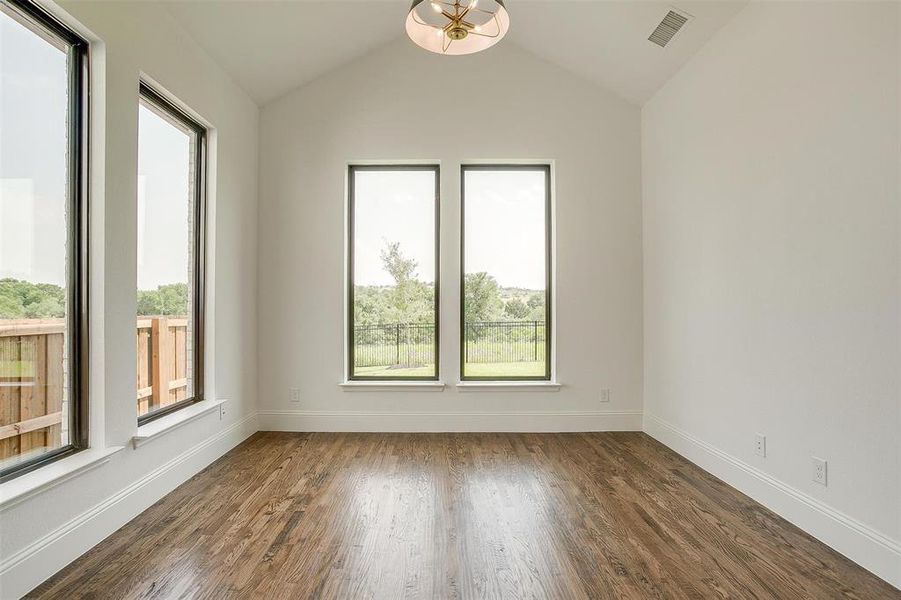 Empty room featuring a healthy amount of sunlight, dark wood-type flooring, and lofted ceiling