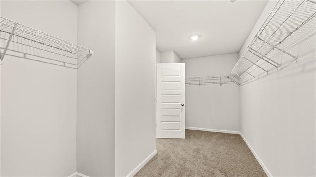 Spacious, unfurnished interior of a new home in Oakchase at Hampton, Hampton (Image 25).